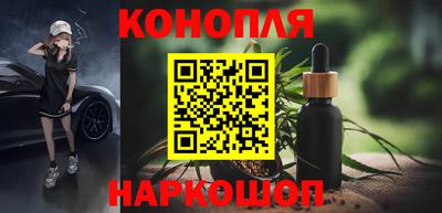 крисы Краснознаменск